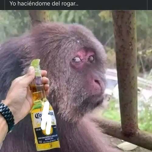 😂😂😂